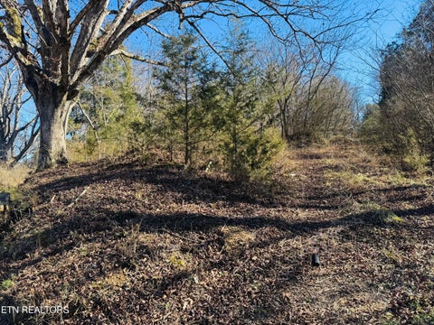 Tiny photo for 409 Carroll Hollow Rd, Clinton, TN 37716 (MLS # 1329316)