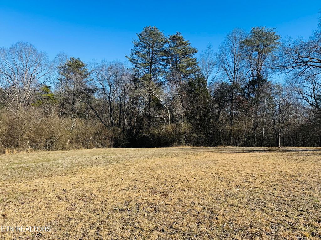 Photo of 409 Carroll Hollow Rd, Clinton, TN 37716 (MLS # 1329316)