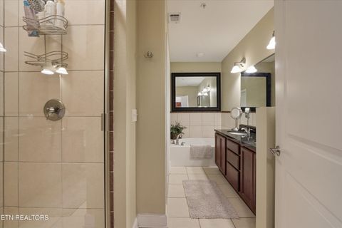 Tiny photo for 313 Sandpiper Lane, Bean Station, TN 37708 (MLS # 1336808)