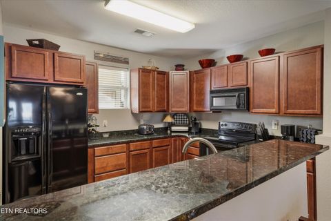 Tiny photo for 313 Sandpiper Lane, Bean Station, TN 37708 (MLS # 1336808)