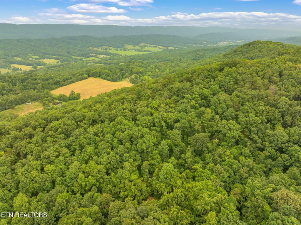 Photo of Dunville Gap Rd, Rutledge, TN 37861 (MLS # 1305104)