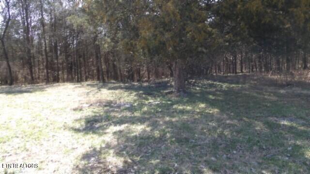 Photo of 1586 Needmore Rd, Old Hickory, TN 37138 (MLS # 1358666)