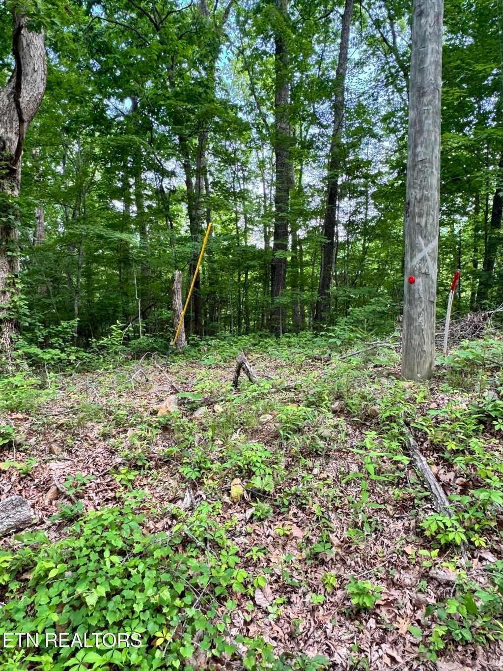 Photo of Goose Creek Lot #2 Rd, Seymour, TN 37865 (MLS # 1300907)