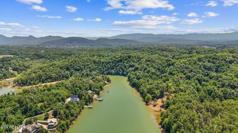 Tiny photo for 1138 Sanctuary Shores Way, Sevierville, TN 37876 (MLS # 1344544)