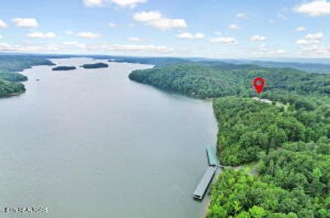 Tiny photo for 370 River Run Tr, Spring City, TN 37381 (MLS # 1324981)