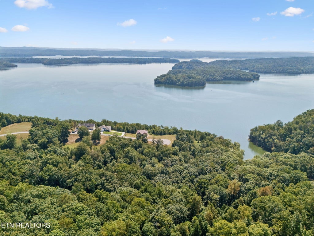 Photo of 370 River Run Tr, Spring City, TN 37381 (MLS # 1324981)