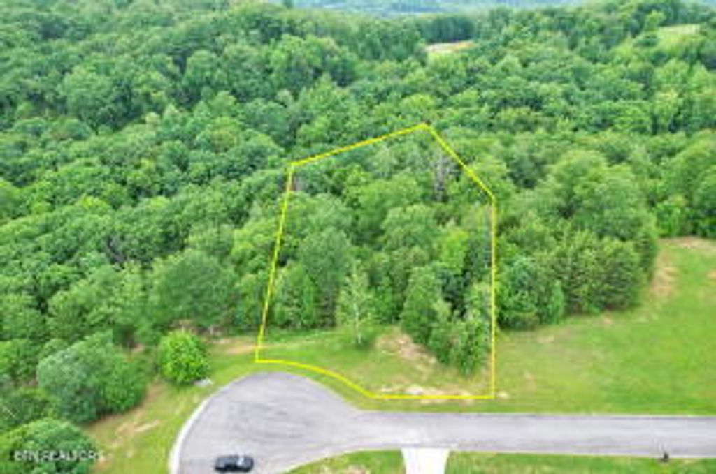 Photo of 370 River Run Tr, Spring City, TN 37381 (MLS # 1324981)