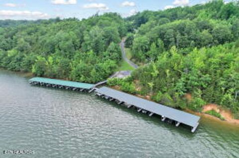 Photo of 370 River Run Tr, Spring City, TN 37381 (MLS # 1324981)