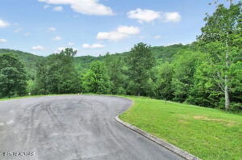 Tiny photo for 370 River Run Tr, Spring City, TN 37381 (MLS # 1324981)