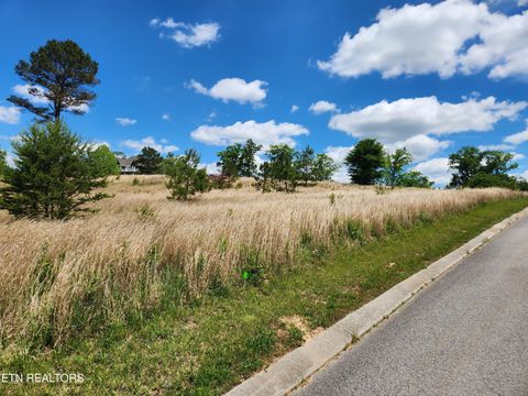 Tiny photo for Oak Leaf Lot 71 Drive, Loudon, TN 37774 (MLS # 1339430)