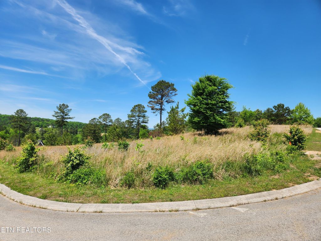 Photo of Oak Leaf Lot 71 Drive, Loudon, TN 37774 (MLS # 1339430)
