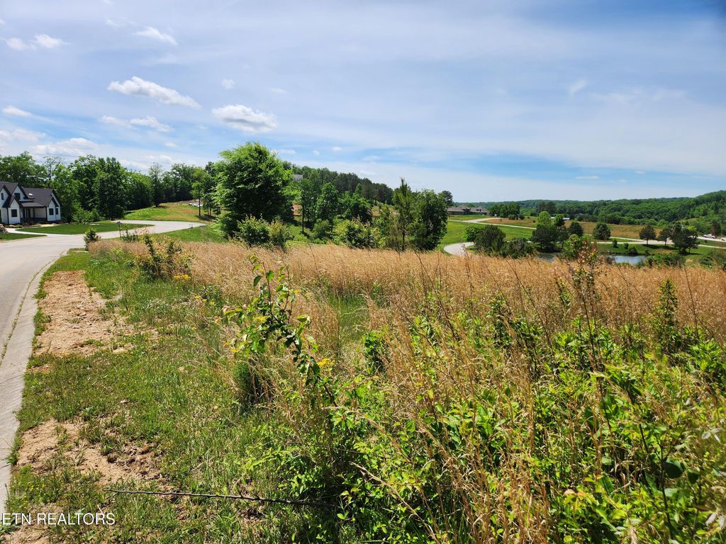 Photo of Oak Leaf Lot 71 Drive, Loudon, TN 37774 (MLS # 1339430)