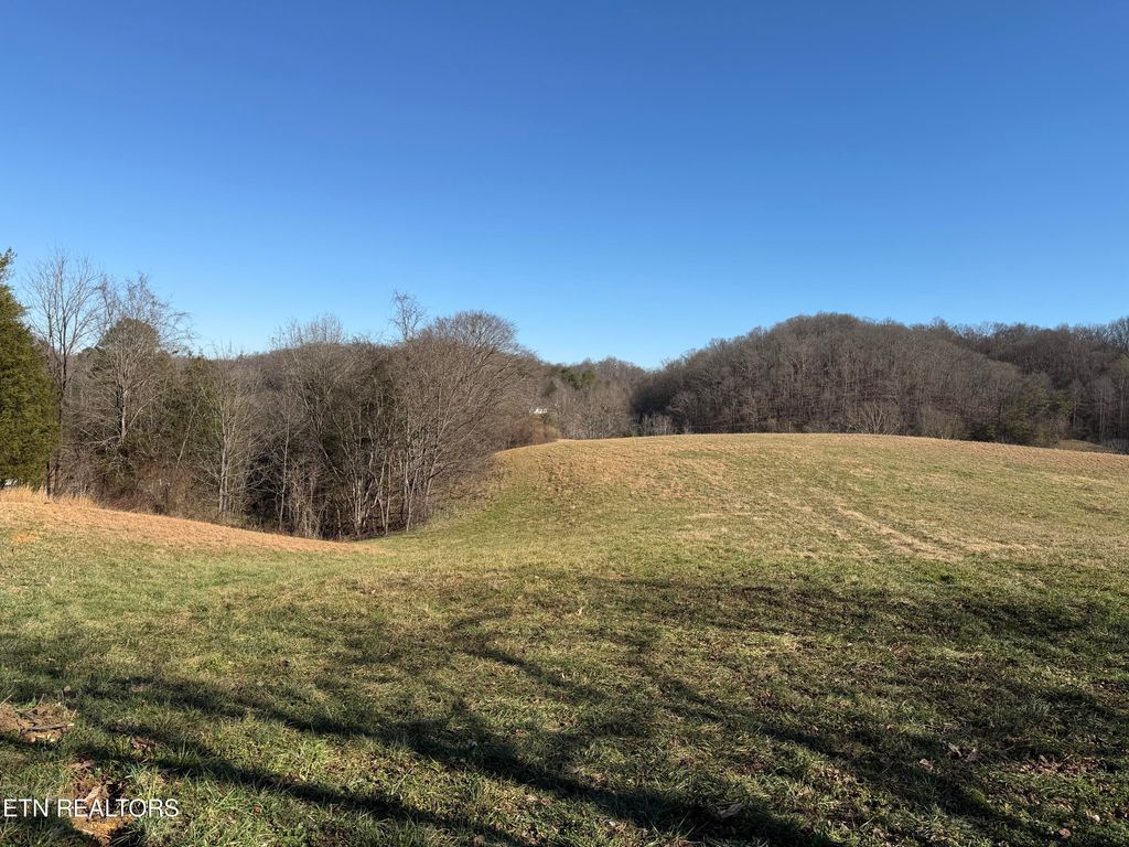 Photo of 1210 Dupont Rd, Seymour, TN 37865 (MLS # 1325537)