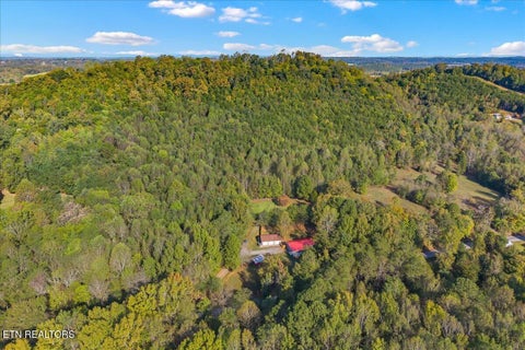 Tiny photo for 445 County Road 439, Athens, TN 37303 (MLS # 1359609)