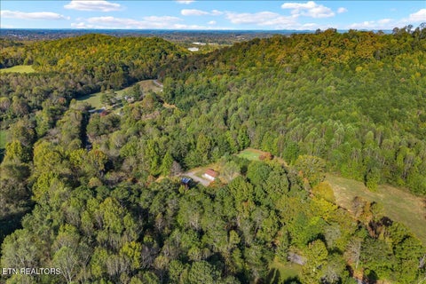 Tiny photo for 445 County Road 439, Athens, TN 37303 (MLS # 1359609)