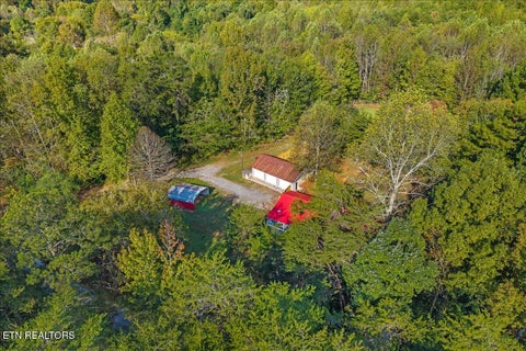 Tiny photo for 445 County Road 439, Athens, TN 37303 (MLS # 1359609)