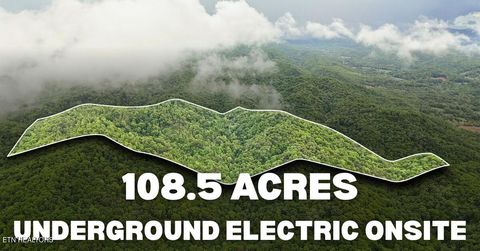 201 Birch Hollow Rd Maynardville TN 37807