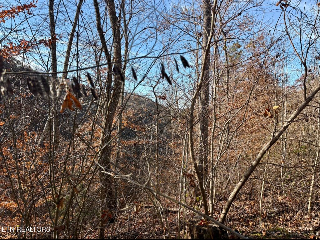 Photo of 201 Birch Hollow Rd, Maynardville, TN 37807 (MLS # 1300122)