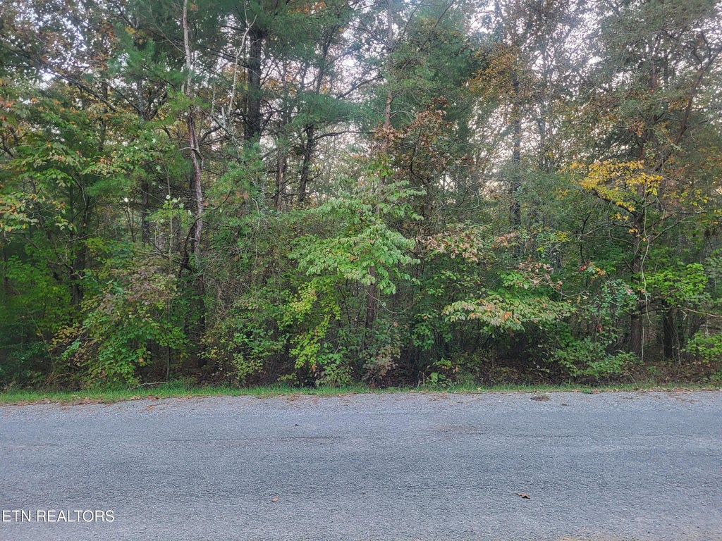 Photo of 122 Newcastle Lane, Crossville, TN 38558 (MLS # 1358840)