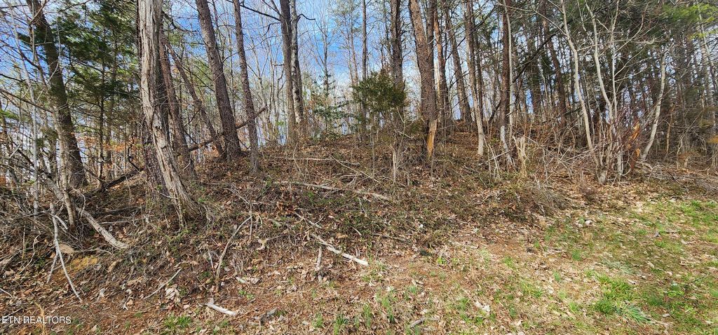 Photo of 4 Maynardville Hwy, Maynardville, TN 37807 (MLS # 1254268)