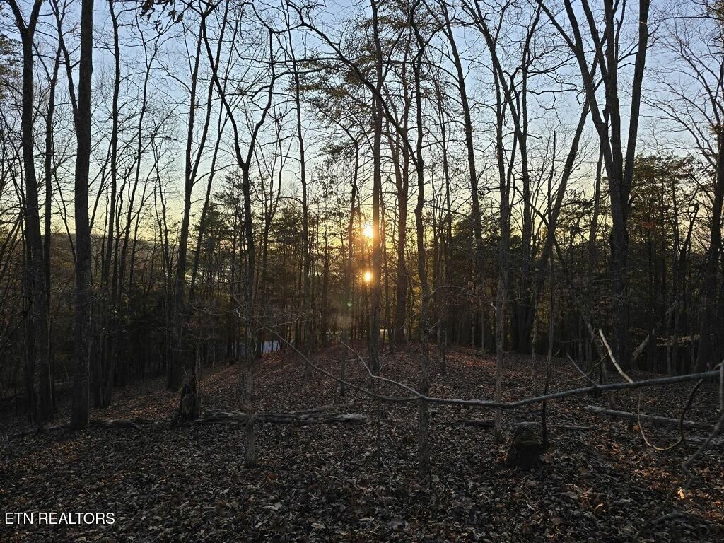 Photo of 117 Hensley Rd Rd, Kingston, TN 37763 (MLS # 1313109)
