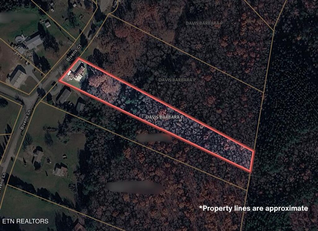 Photo of 160 Bivens Court, Niota, TN 37826 (MLS # 1342508)