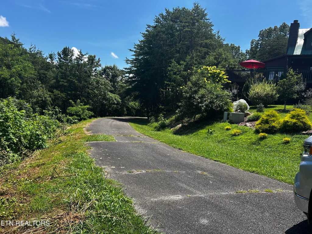 Photo of Highlands Bluff Rd, Tellico Plains, TN 37385 (MLS # 1307280)