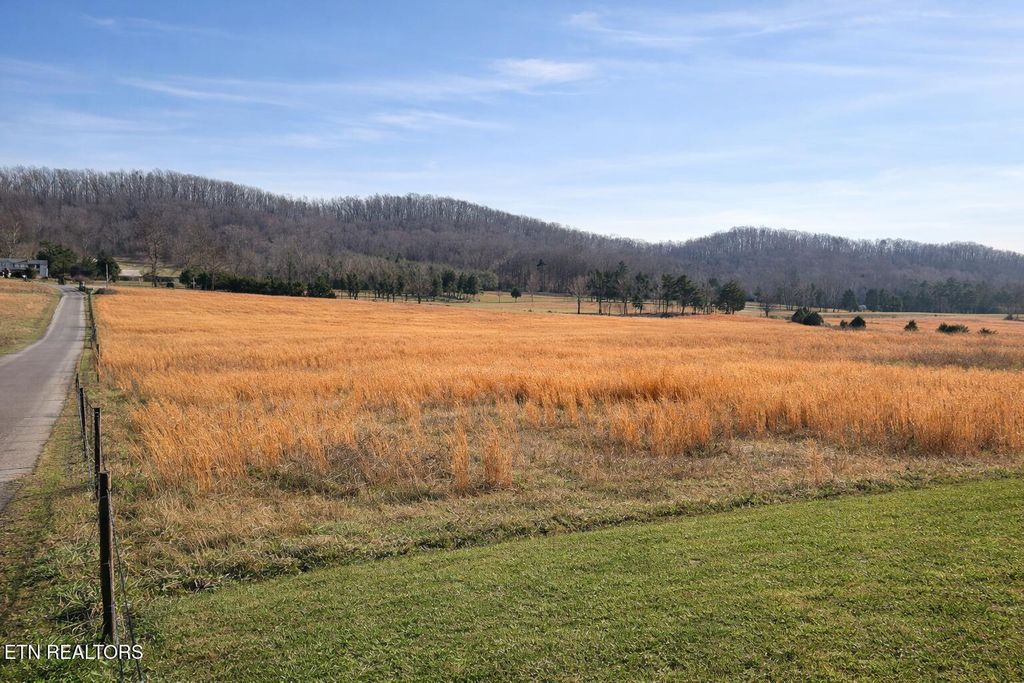 Photo of 201 Evans Rd, Kingston, TN 37763 (MLS # 1326864)