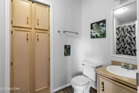 Tiny photo for 2315 Jim Henry Rd, Dandridge, TN 37725 (MLS # 1326822)