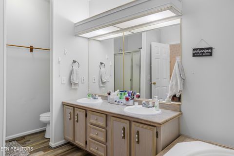 Tiny photo for 2315 Jim Henry Rd, Dandridge, TN 37725 (MLS # 1326822)