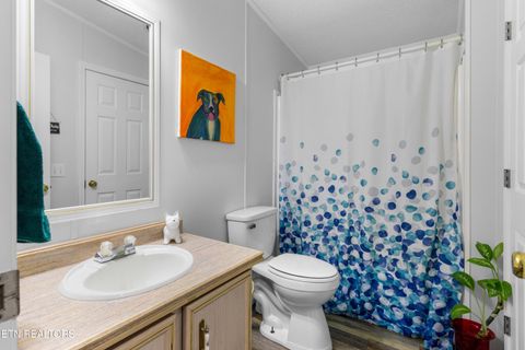 Tiny photo for 2315 Jim Henry Rd, Dandridge, TN 37725 (MLS # 1326822)