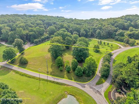 Photo of 110 Conkinnon Drive, Lenoir City, TN 37772 (MLS # 1342664)