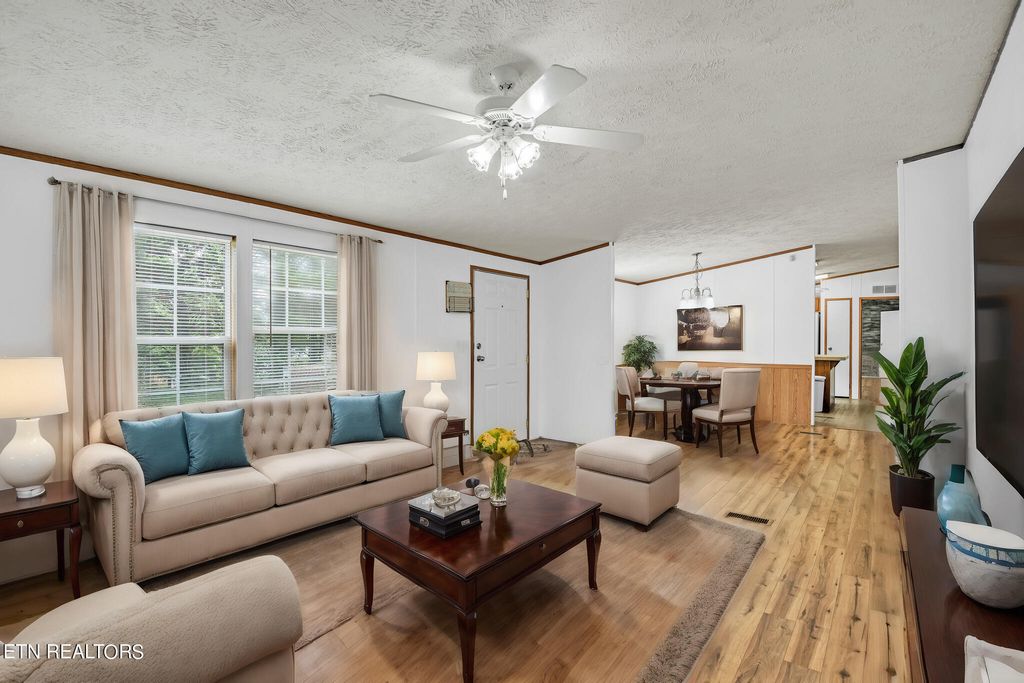 Photo of 164 Laura Boling Loop Rd, Strawberry Plains, TN 37871 (MLS # 1270199)