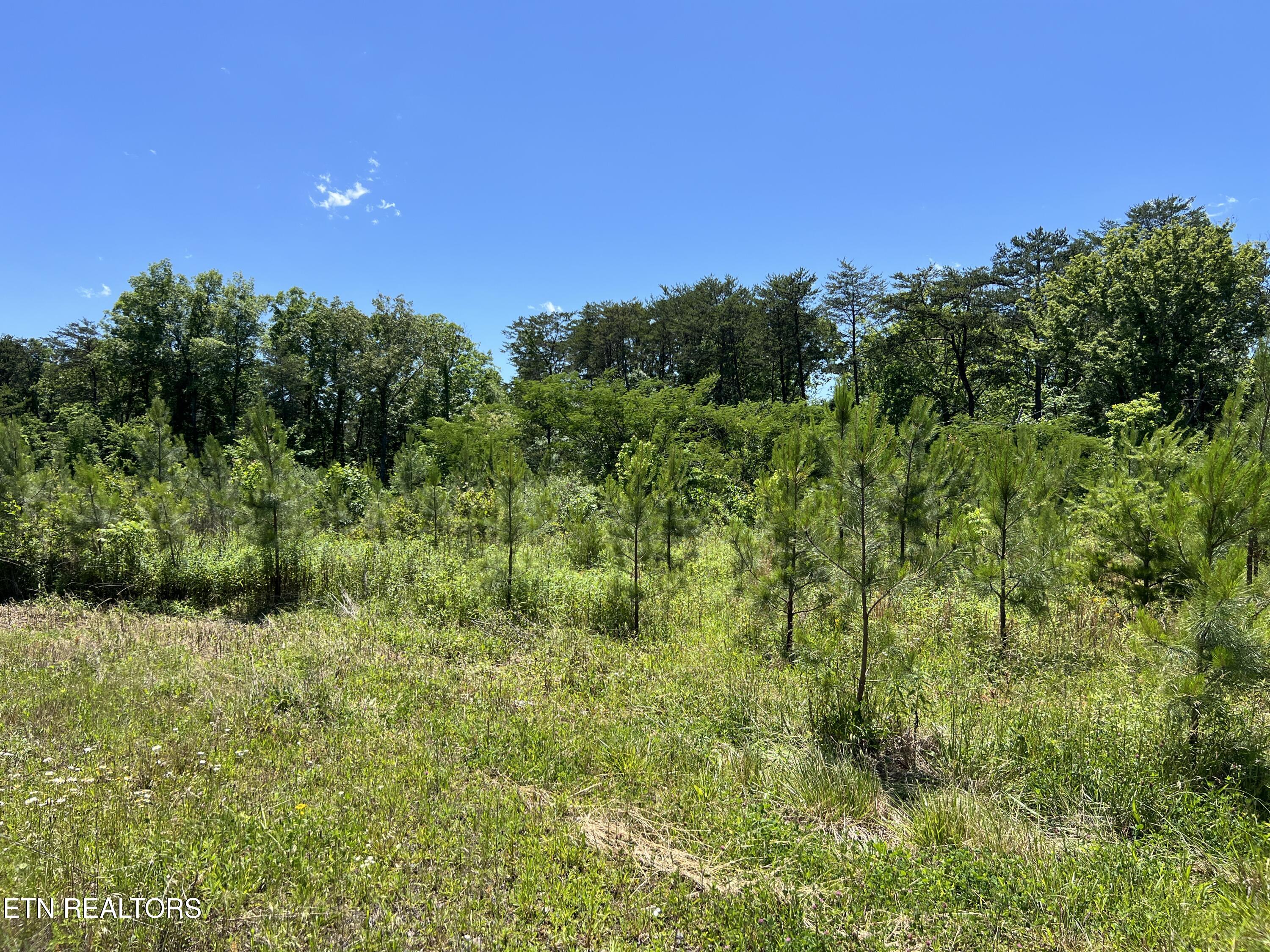 256 Atkins Rd