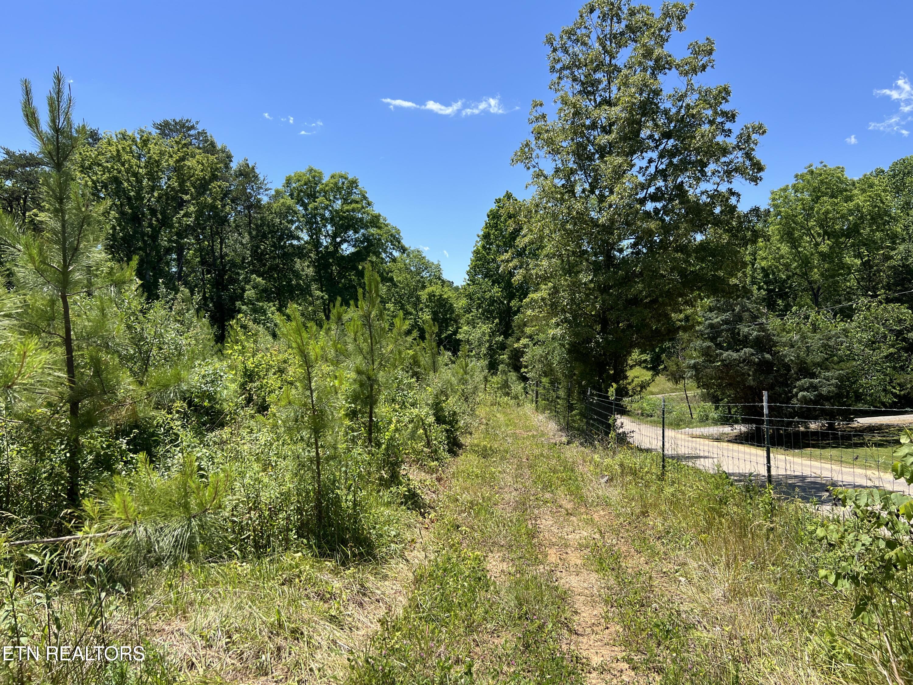 256 Atkins Rd
