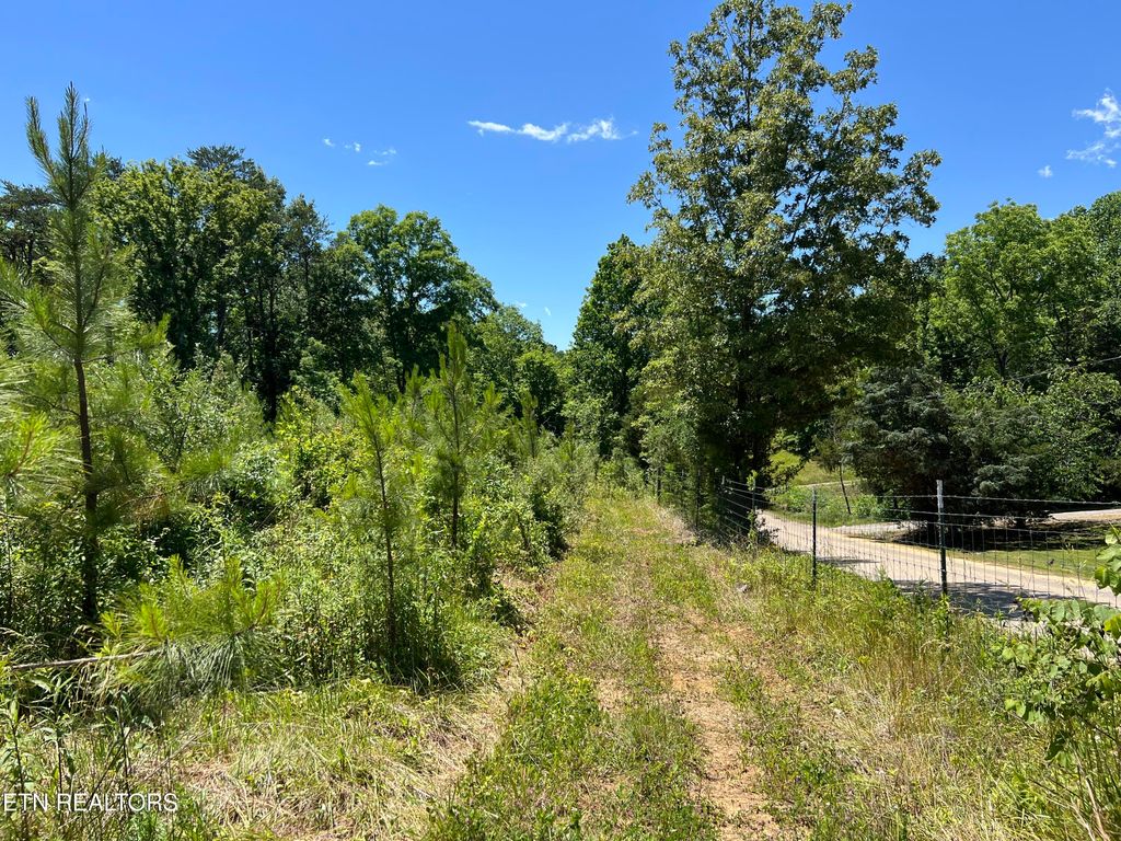 Photo of 256 Atkins Rd, Madisonville, TN 37354 (MLS # 1302422)