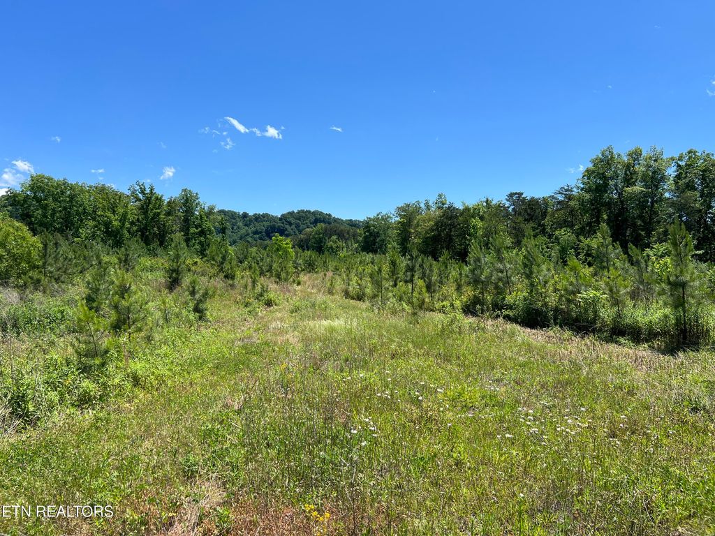 Photo of 256 Atkins Rd, Madisonville, TN 37354 (MLS # 1302422)