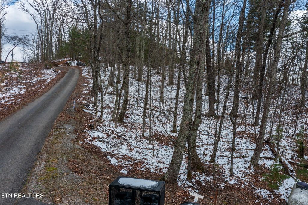 Photo of 63 Twin City Way, Pigeon Forge, TN 37876 (MLS # 1333284)