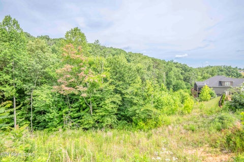 Tiny photo for 1905 Highlands Ridge Lane, Knoxville, TN 37932 (MLS # 1348739)