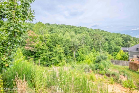 Tiny photo for 1905 Highlands Ridge Lane, Knoxville, TN 37932 (MLS # 1348739)