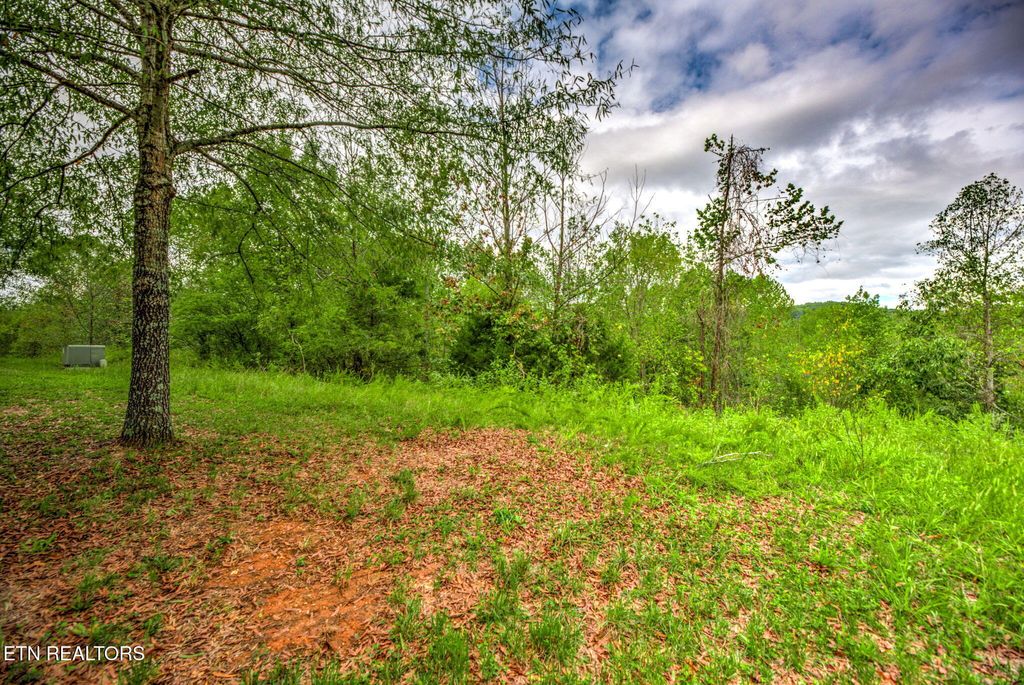 Photo of 152 Pineberry East Rd #166, Oak Ridge, TN 37830 (MLS # 1304598)