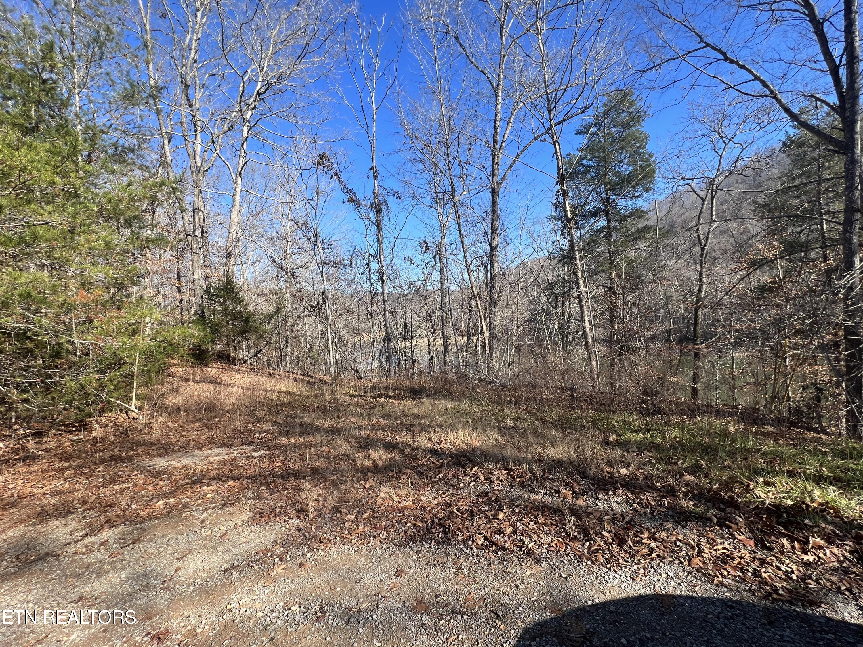 4 lots Jones Ridge Rd