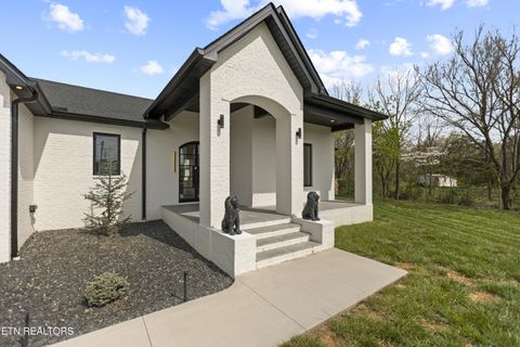 Tiny photo for 7523 Millertown Pike, Knoxville, TN 37924 (MLS # 1335521)