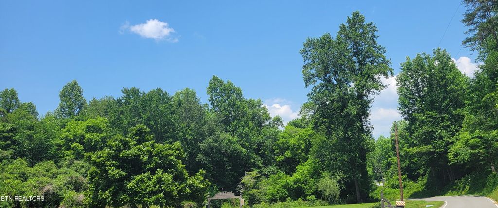 Photo of Unicoi Church Rd, Tellico Plains, TN 37385 (MLS # 1303493)