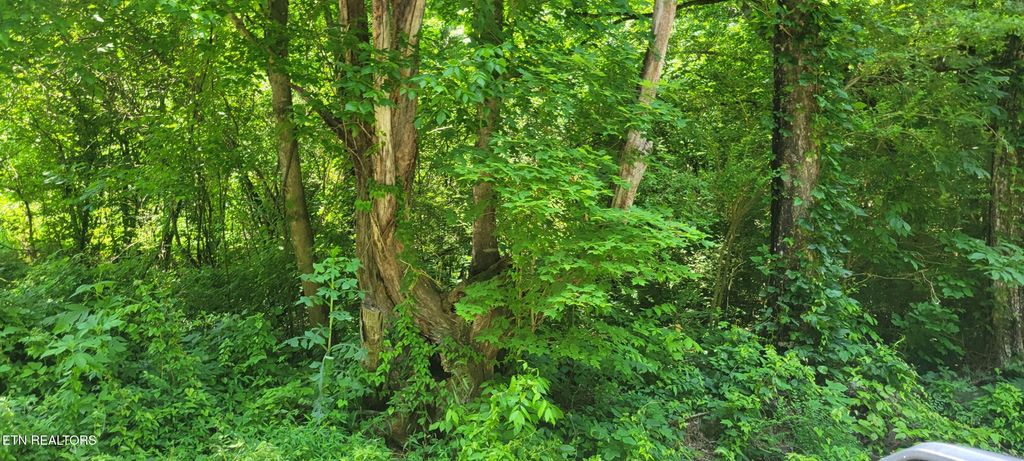 Photo of Unicoi Church Rd, Tellico Plains, TN 37385 (MLS # 1303493)