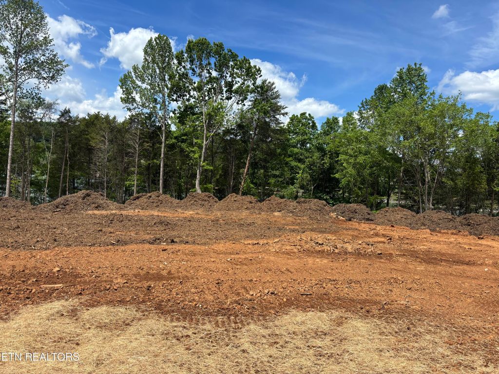 Photo of 134 Agaya Tr, Vonore, TN 37885 (MLS # 1338655)