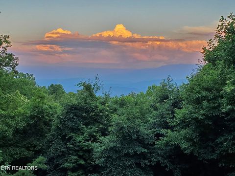 Tiny photo for 2592 Bluff Mountain Rd, Pigeon Forge, TN 37876 (MLS # 1331178)