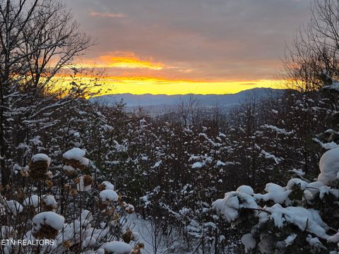 Tiny photo for 2592 Bluff Mountain Rd, Pigeon Forge, TN 37876 (MLS # 1331178)