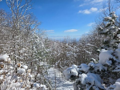 Tiny photo for 2592 Bluff Mountain Rd, Pigeon Forge, TN 37876 (MLS # 1331178)