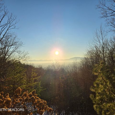 Tiny photo for 2592 Bluff Mountain Rd, Pigeon Forge, TN 37876 (MLS # 1331178)